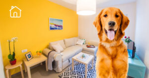 Pročitajte više o članku Zašto primiti kućnog ljubimca u smještaj?