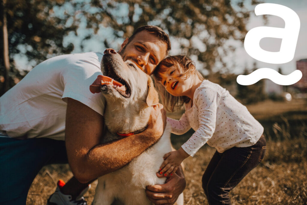 Pet friendly smještaj