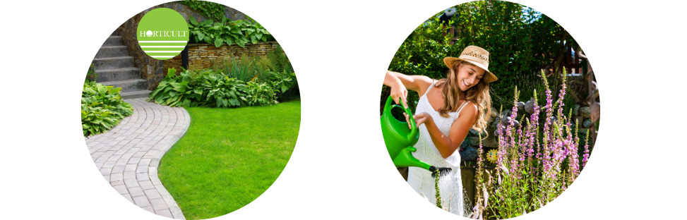 Gosti najprije vide okućnicu