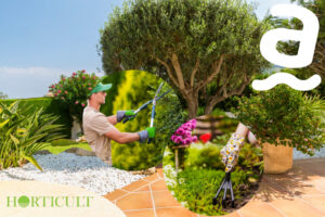 Pročitajte više o članku Kako pripremiti okućnicu za dolazak gostiju