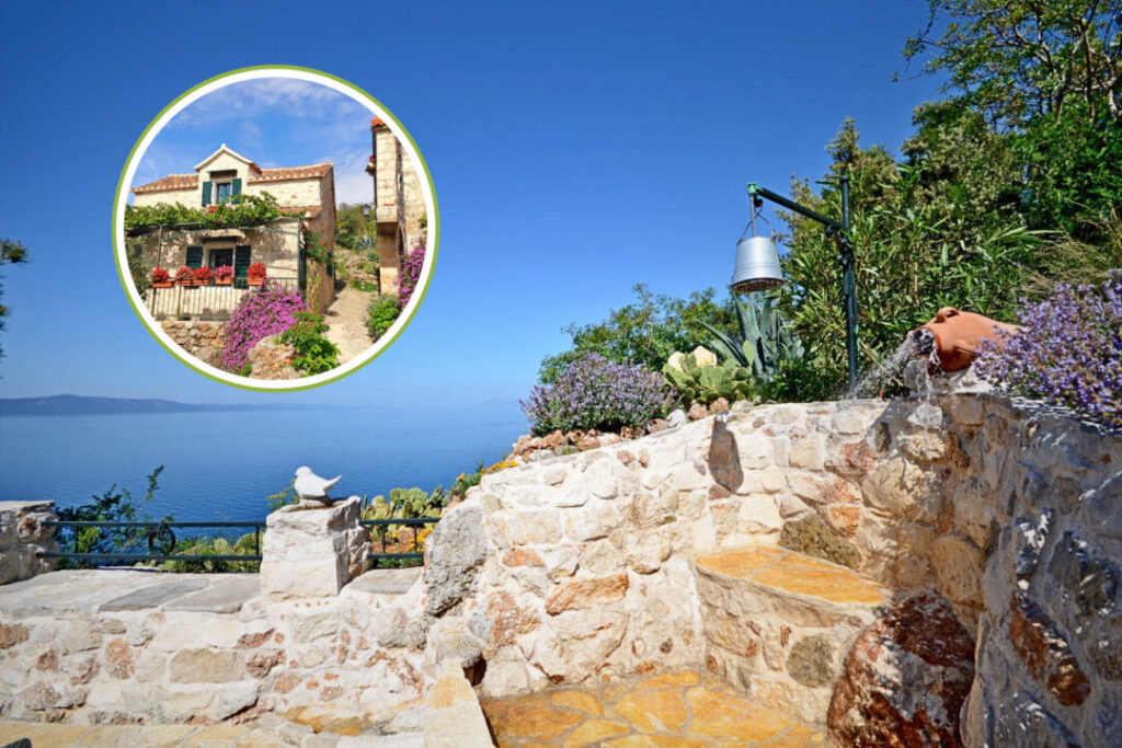 Komentari otkrivaju pravog domaćina 