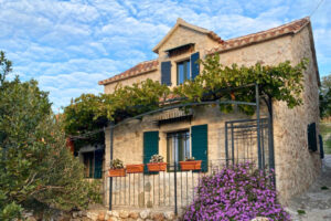 Pročitajte više o članku Toplina koja puni kalendar: što razlikuje dobre domaćine?