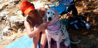 Niekoľko rád na cestu s domácimi miláčikmi