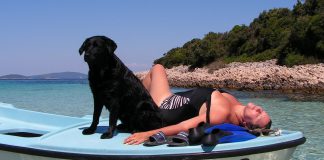 In Croazia con i vostri cani ecco le spagge dedicate dogs beaches