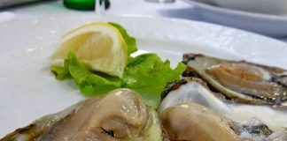 The Oyster Festival in Mali Ston (March) The Oyster Festival in Mali Ston