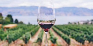 Wine and food fair „Vinski podrum“ (“Wine cellar”) Veľtrh víno a delikatesy