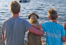 Top 5 dog beaches in Istria and Kvarner