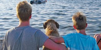 Top 5 dog beaches in Istria and Kvarner