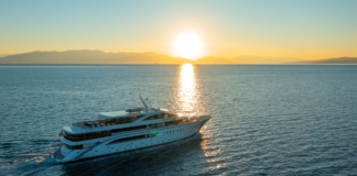 What is the best ship category for you?