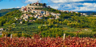Exploring Wine Roads in Croatia: A Guide for Oenophiles