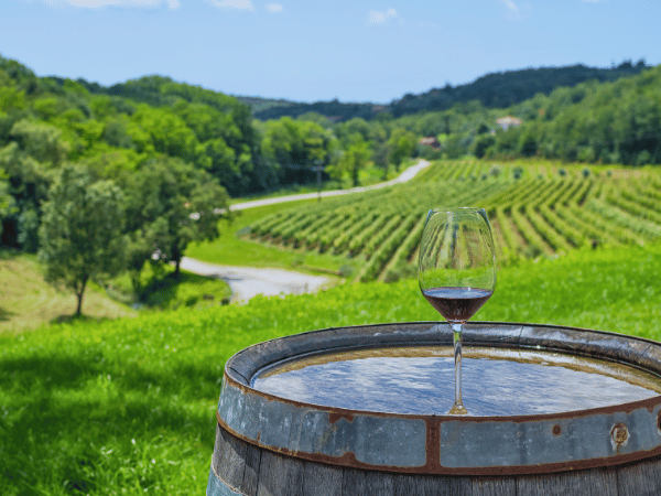 Wein
