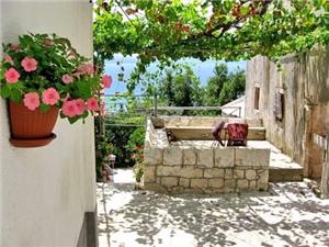 Apartma Riviera Dubrovnik,Rezerviraj  Antun Od 30 €
