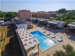 Appartamenti Medanic Privlaka (Zadar), Dimensioni 43,00 m2, Alloggi con piscina, Distanza aerea dal mare 50 m